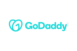 GoDaddy DNS provider